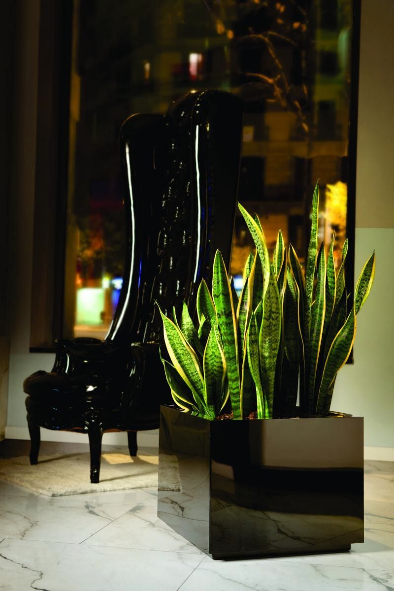 Plantas artificiales grandes - Tendencias Naturales