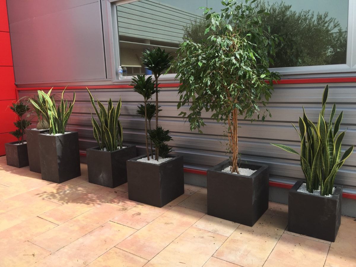 Arboles Artificiales Para Exterior