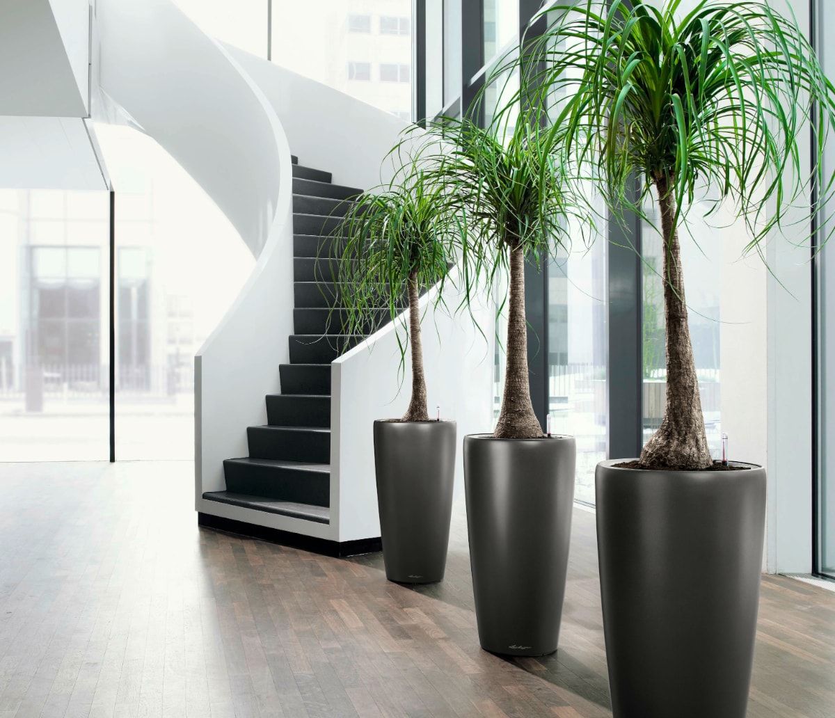 Plantas Artificiales Decorativas - Tendencias Naturales