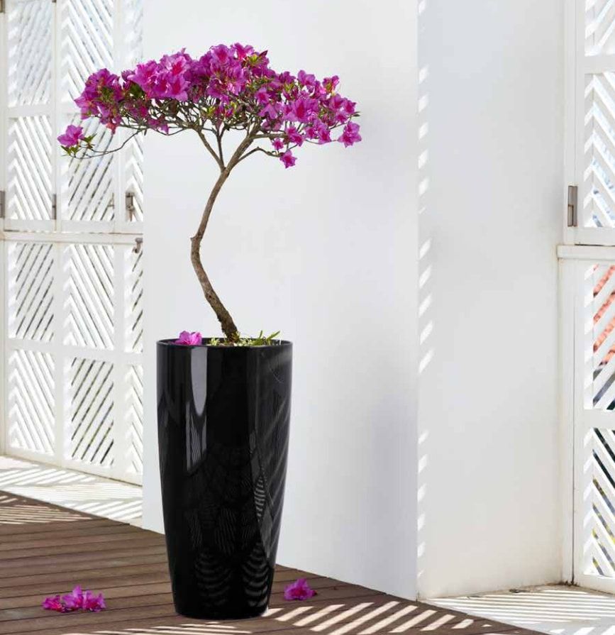 Quieres comprar plantas colgantes artificiales? Elegantes y