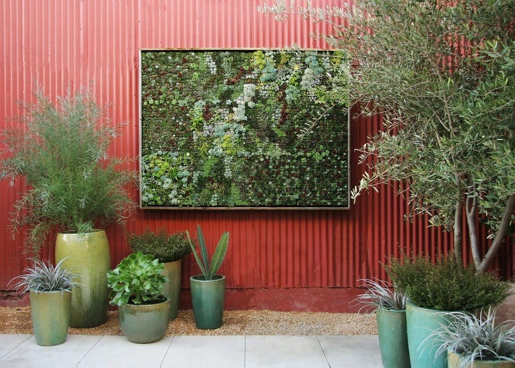 jardin natural