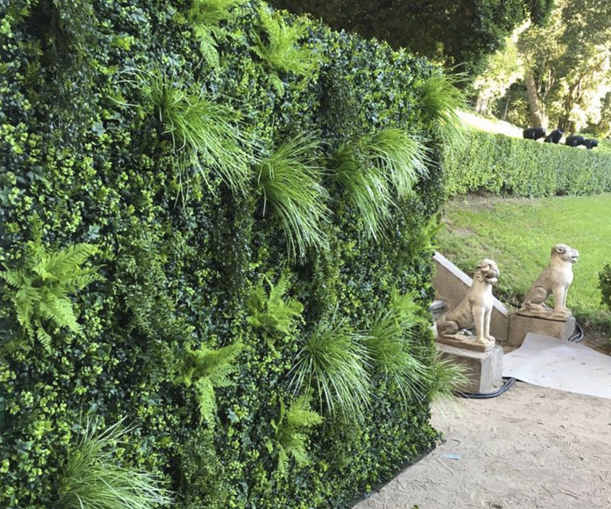 jardin vertical